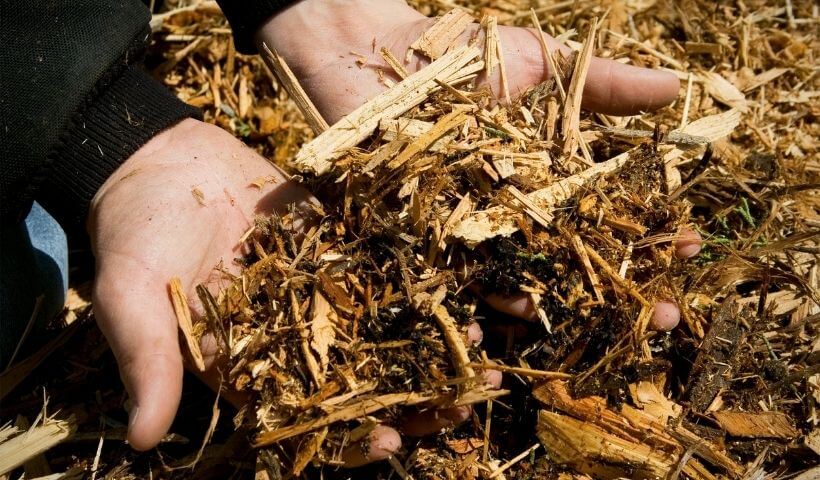 Dos & Don’ts of Mulch