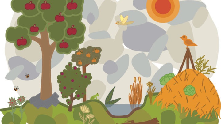 The 12 Permaculture Principles